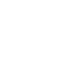 Discord Icon