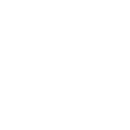 Windows Icon